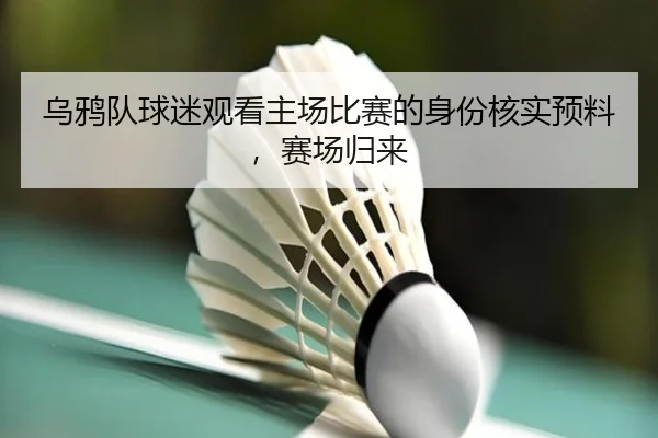 乌鸦队球迷观看主场比赛的身份核实预料，赛场归来（leyu-app）